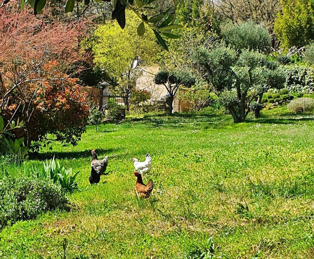 Monteze Paradis Saint-Christol-lès-Alès Kültér fotó